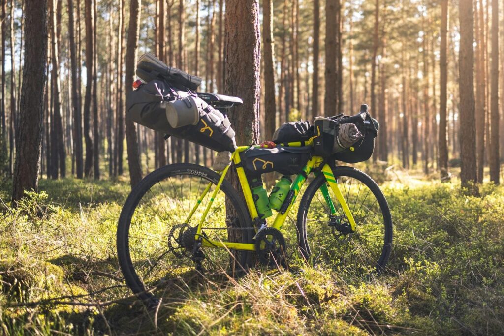 Nocleg blisko lasu na rowery