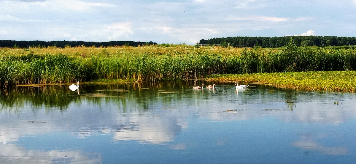Gdzie na wakacje w Polsce