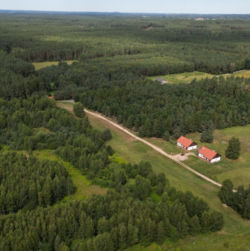 Wynajem domku w lesie Dom w okolicy lasów i natury
